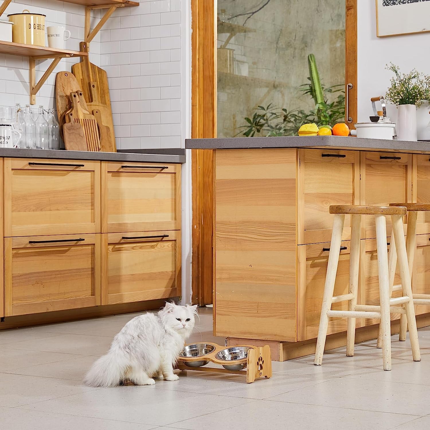 Elevated Dog Bowls for Cats and Dogs