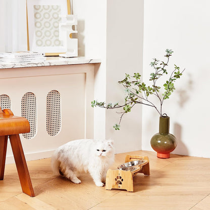 Elevated Dog Bowls for Cats and Dogs