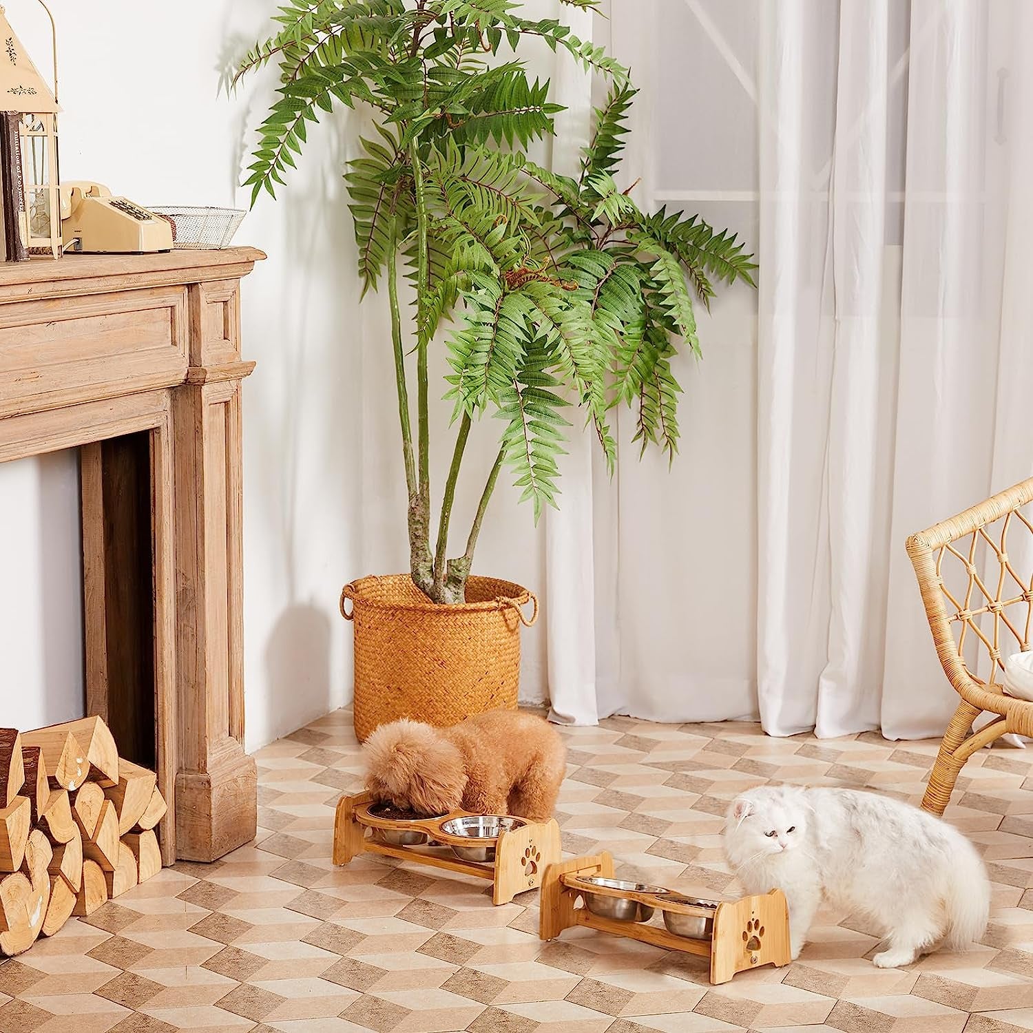 Elevated Dog Bowls for Cats and Dogs