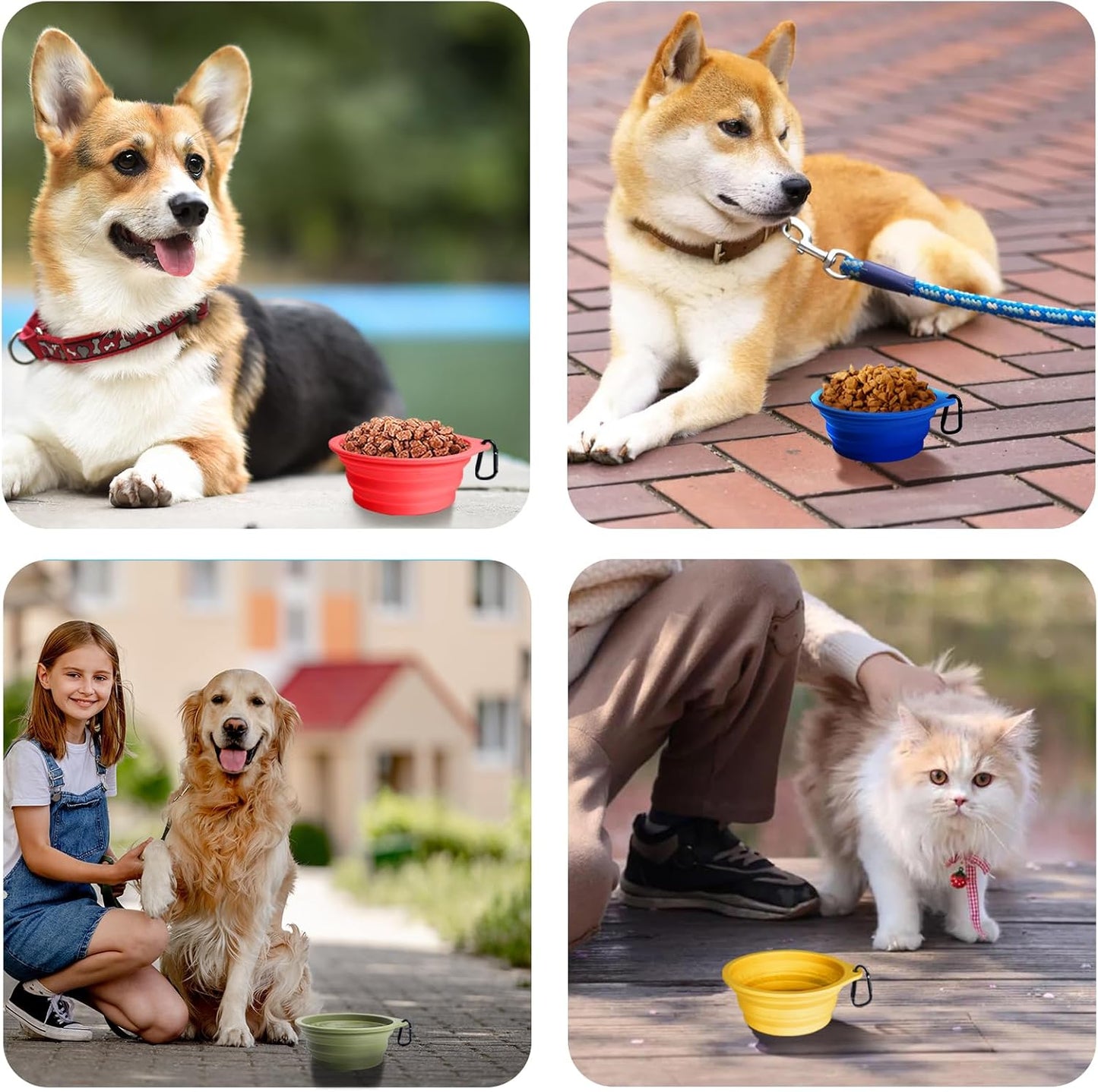 Food And Water Collapsible Feeding Cups For Dogs And Cats (Army Green, Blue)