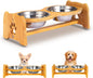 Elevated Dog Bowls for Cats and Dogs