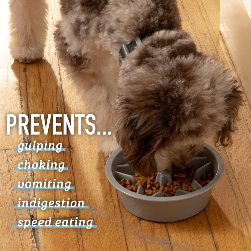 Slow Feeder Dog Bowls (2 Cup) Puzzle Dog Food Bowl - Fits into Elevated Pet Feeders - Slow Eating For Any Dog